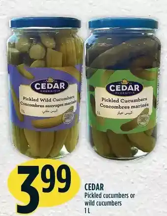 Marché Adonis Cedar pickled cucumbers or wild cucumbers offer