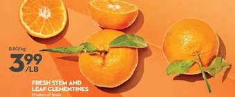Longo's Fresh stem and leaf clementines offer