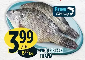 Marché Adonis Whole black tilapia offer
