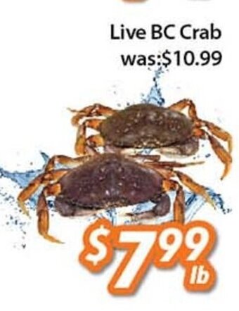Ample Food Market Live BC Crab offer