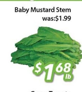 Ample Food Market Baby Mustard Stem offer