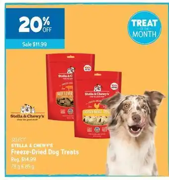 Ren’s Pets Depot Select stella & chewy's freeze-dried dog treats offer