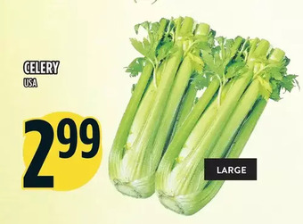 Marché Adonis Celery offer