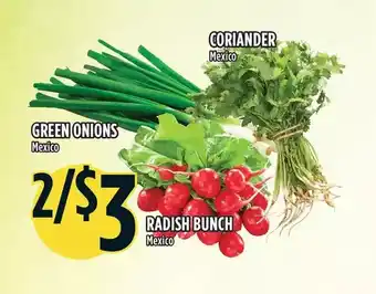 Marché Adonis Green onions, radish bunch, coriander offer