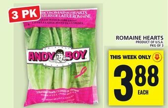 Food Basics Romaine hearts offer
