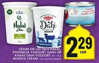 Food Basics Cedar or lactalis halal, phoenicia yogourt, hans or khaas dahi yogourt offer