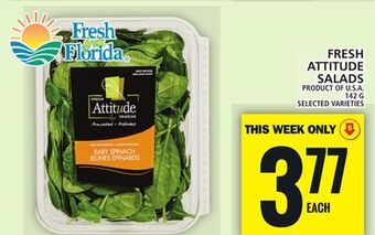 Food Basics Fresh attitude salads offer