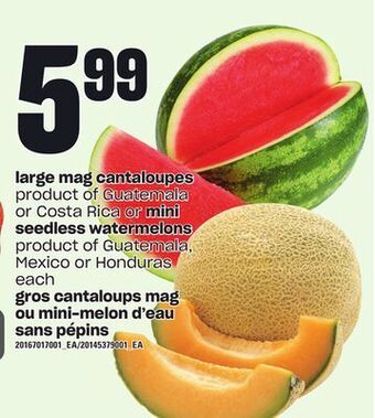 Independent Grocer Large mag cantaloupes or mini seedless watermelons offer