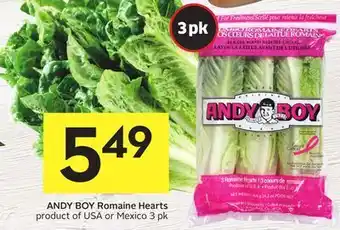 Foodland Andy boy romaine hearts product of usa or mexico 3 pk offer