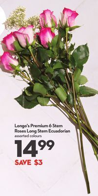 Longo's Longo's premium 6 stem roses offer
