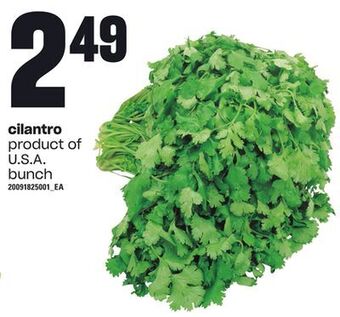 Loblaws Cilantro offer