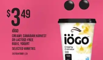 Loblaws Creamy, canadian harvest or lactose-free, 650 g, yogurt offer