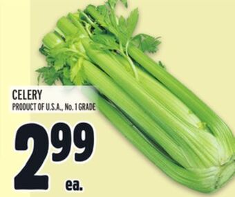 Metro Celery offer