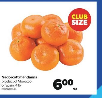 Real Canadian Superstore Nadorcott mandarins, 4 lb offer
