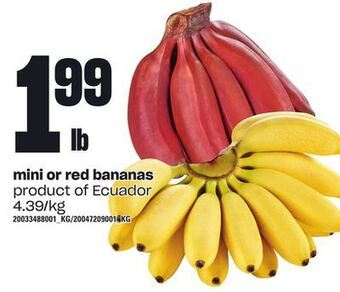 Zehrs Markets Mini or red bananas offer