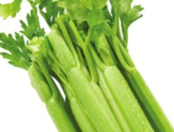 Giant Tiger Celery offer