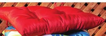 Giant Tiger Tufted chair pad offer