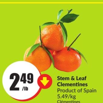FreshCo Stem & leaf clementines product of spain 5.49/kg offer