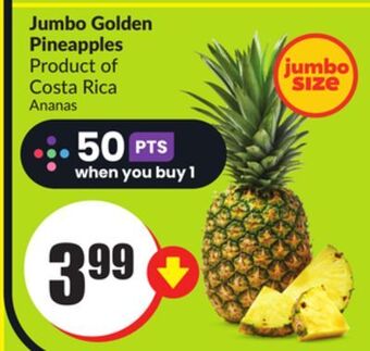 FreshCo Jumbo golden pineapples product of costa rica offer