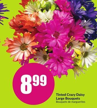 FreshCo Tinted crazy daisy large bouquets offer