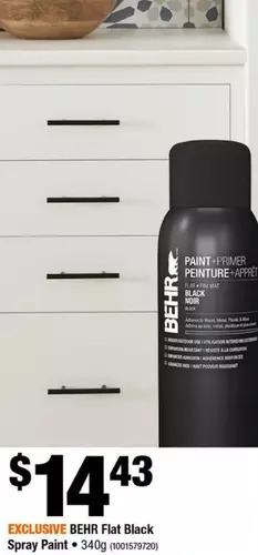 Home Depot Behr flat black spray paint offer