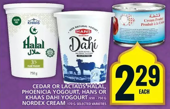 Food Basics Cedar or lactalis halal, phoenicia yogourt, hans or khaas dahi yogourt | nordex cream offer