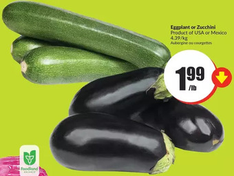 FreshCo Eggplant or zucchini offer
