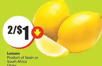 FreshCo Lemons offer