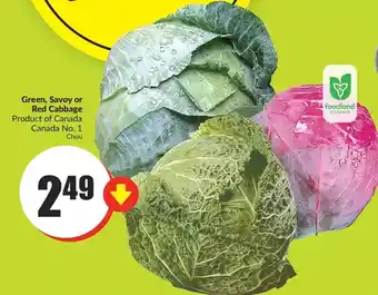 FreshCo Green, savoy or red cabbage offer