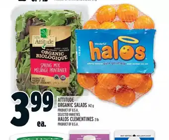 Metro Attitude organic salads | halos clementines offer