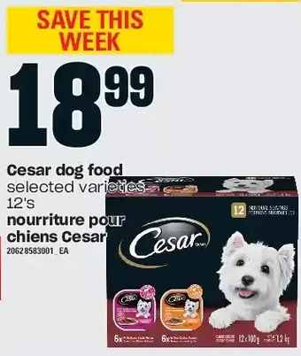 Independent Grocer Cesar dog food offer