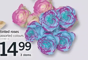 Fortinos Tinted roses offer