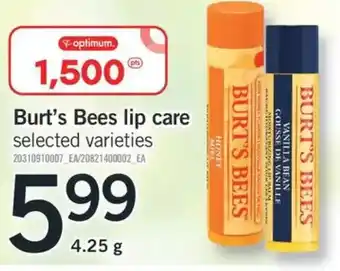 Fortinos Burt's bees lip care offer