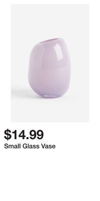 H&M Small glass vase offer