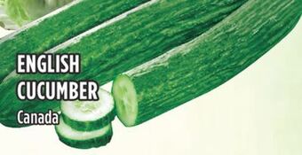 Marché Adonis English cucumber offer