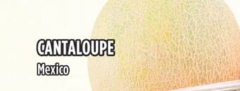 Marché Adonis Cantaloupe offer
