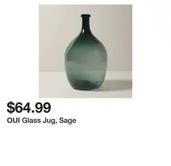 Chapters Indigo Glass jug, sage offer