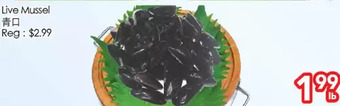 Superking Supermarket Live mussel offer