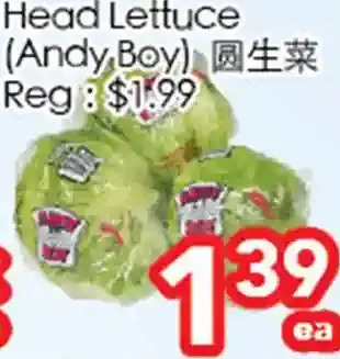 Superking Supermarket Head lettuce offer