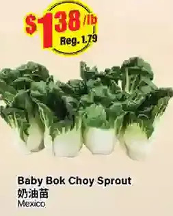 Btrust Supermarket Baby bok choy sprout offer
