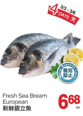 T&T Supermarket Fresh sea bream european offer