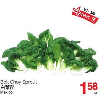 T&T Supermarket Bok choy sprout offer
