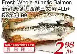 Tone Tai Supermarket Fresh whole atlantic salmon offer