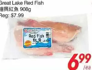 Foody World Great lake red fish offer