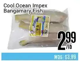 Nations Fresh Foods Cool ocean impex bangamary fish offer