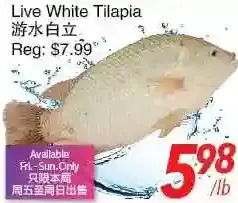 Foody World Live white tilapia offer