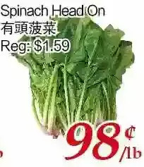Tone Tai Supermarket Spinach head on offer