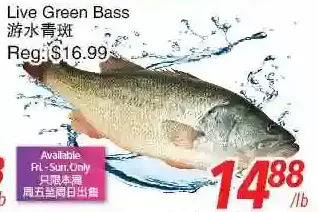 Foody World Live green bass offer