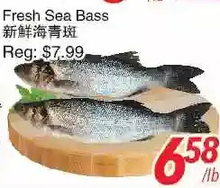 Foody World Fresh sea bass offer