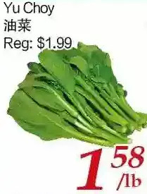 Tone Tai Supermarket Yu choy offer